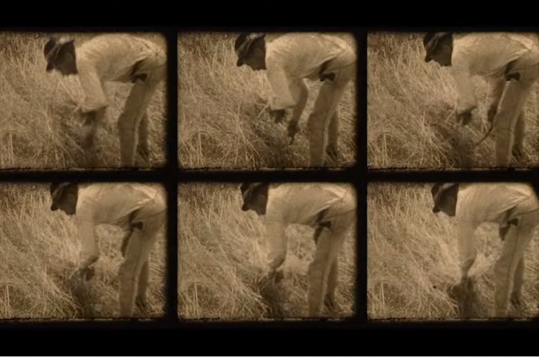 Korabeli fényképeket, felvételeket is láthatunk •  Fotó: Forrás: az Autonómia alulnézetből című film