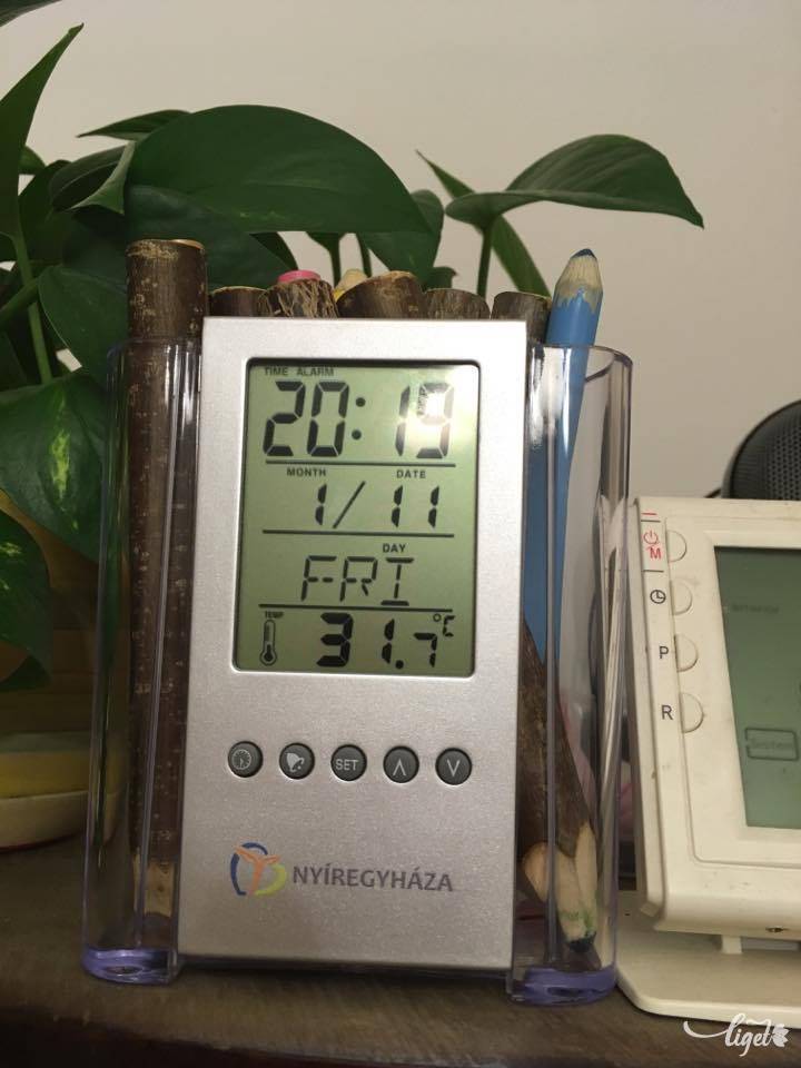 A probléma: 31.7 Celsius fokot mutat a hőmérő. Igen, bent, a hálóban •  Fotó: Szász Cs. Emese
