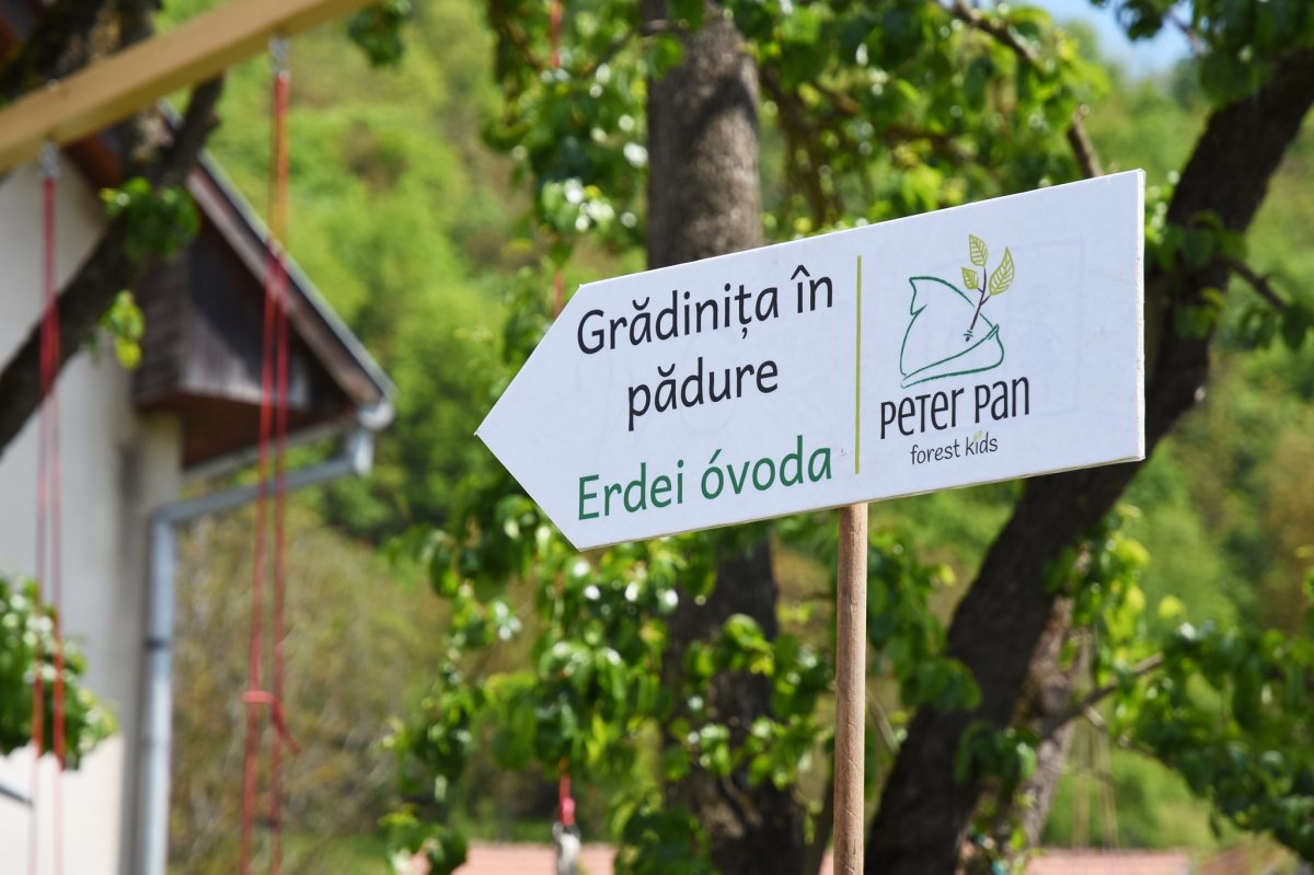 A Marosvásárhely melletti Tófalván találtak az erdei ovisok otthonára •  Fotó: Facebook/Peter Pan Forest Kids