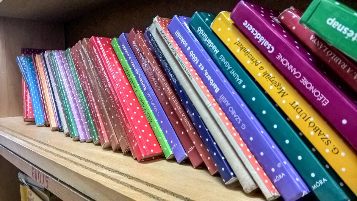 Divatos volt zsúfolásig telerakni az otthonok könyvespolcait •  Fotó: Kiss Edit