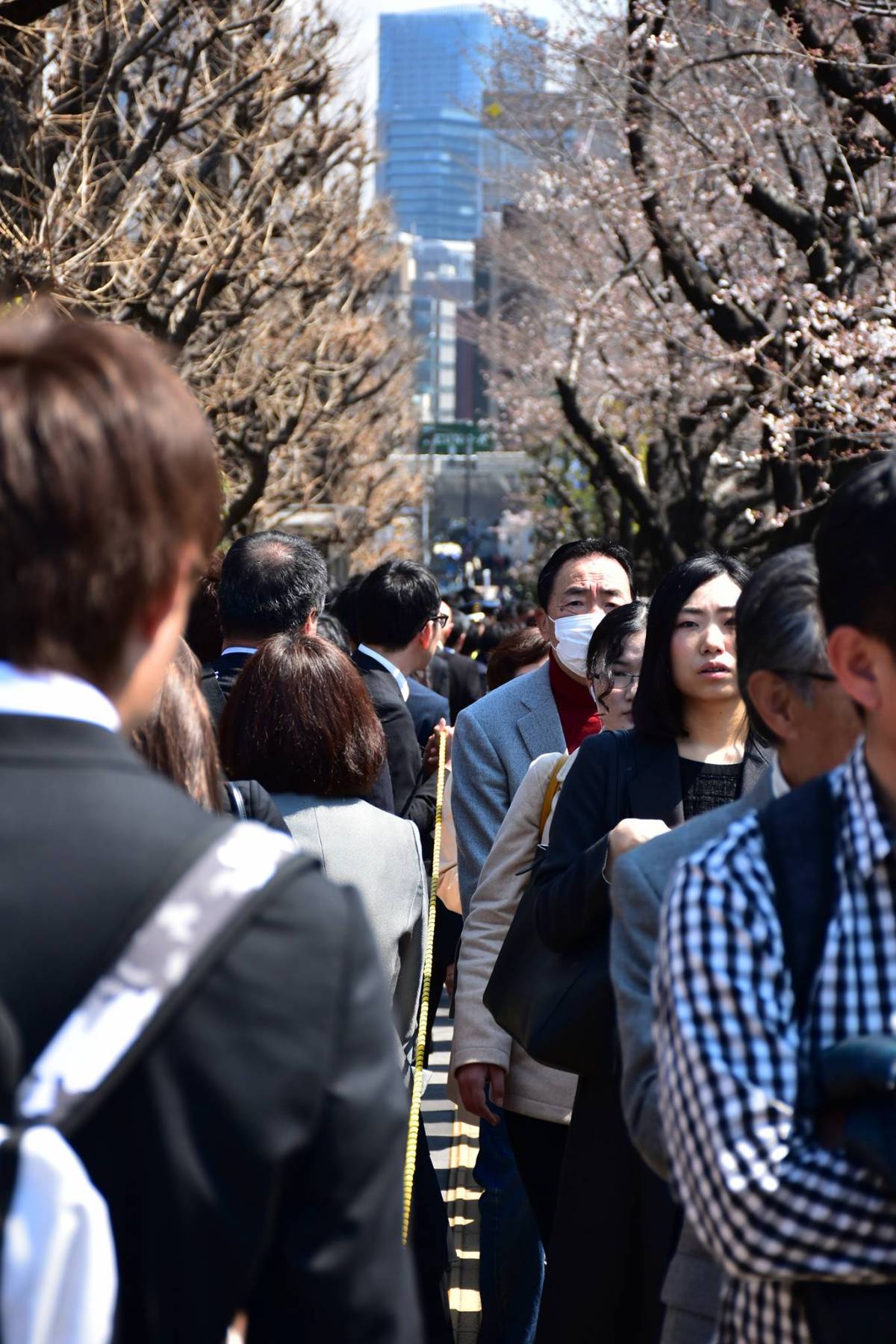 Ha egy japán sort veszünk górcső alá, és azt látjuk, hogy egy vonallal megrajzolható szabályos képződménynek látszanak a sorban állók •  Fotó: Pixabay.com