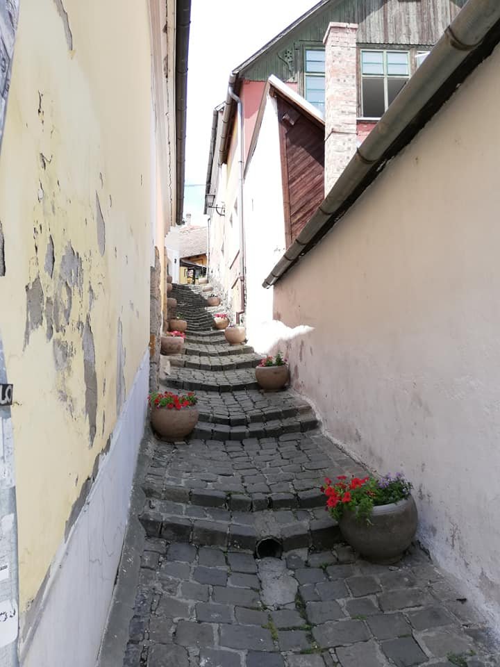 •  Fotó: Antal Erika