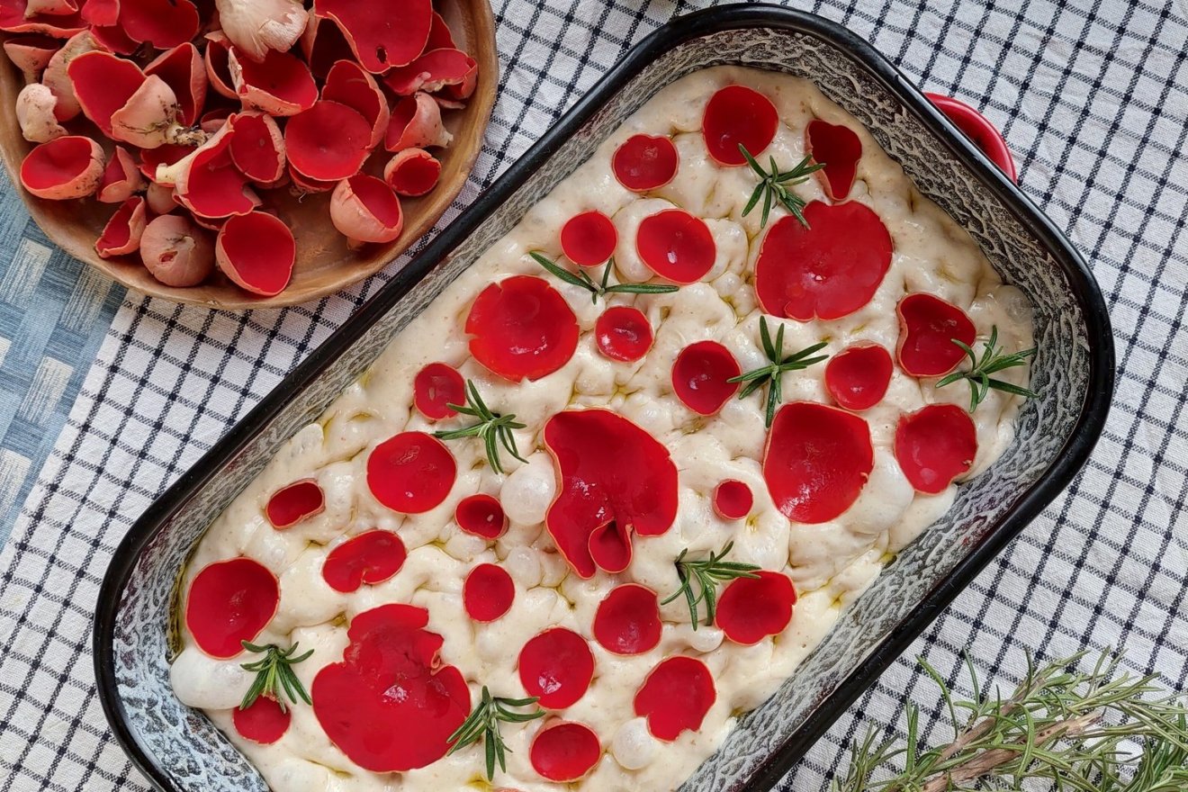 tavasz, tél, évszakváltás, hírnök, vadon, kosár, gomba, májvirág, barka