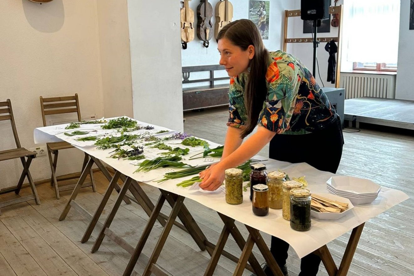 kosár, vadon, fűszer, savanyúság, podagrafű, árvacsalán, kosár, Dakó Viola