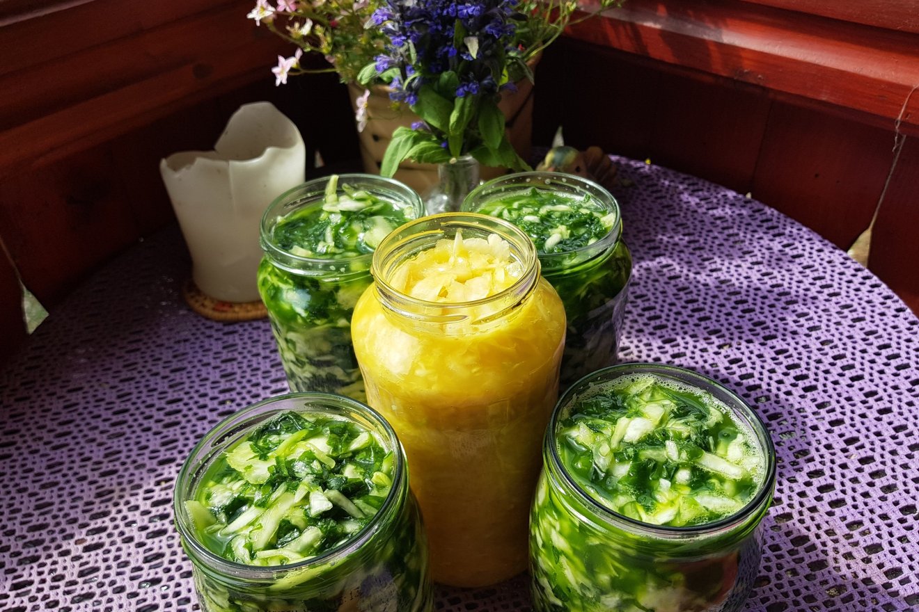 vadon, fűszer, savanyúság, podagrafű, árvacsalán, kosár, Dakó Viola