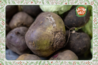 Cékla másképp: egészséges és kreatív fogások