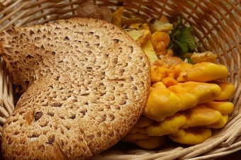 Világos alapon sötét pikkelyek: nem bagoly, hanem gomba