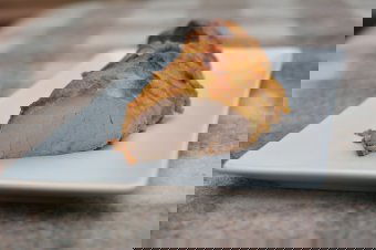 Mézes-mustáros szűzpecsenye