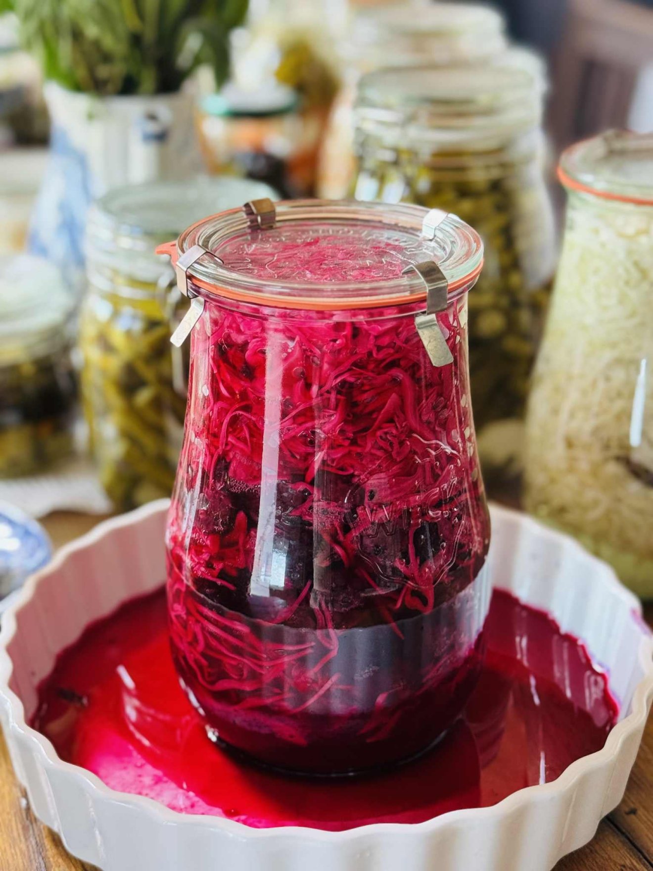 fermentálás, zöldség, gyümölcs, tartósítás, zöld, Kurkó Stefánia, zöld, konyha