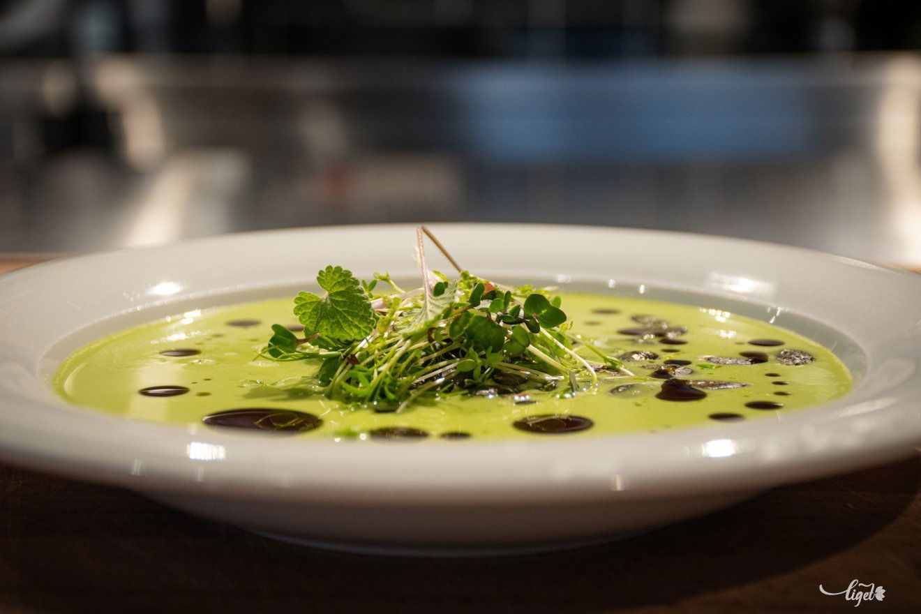 vegán vegetáriánus