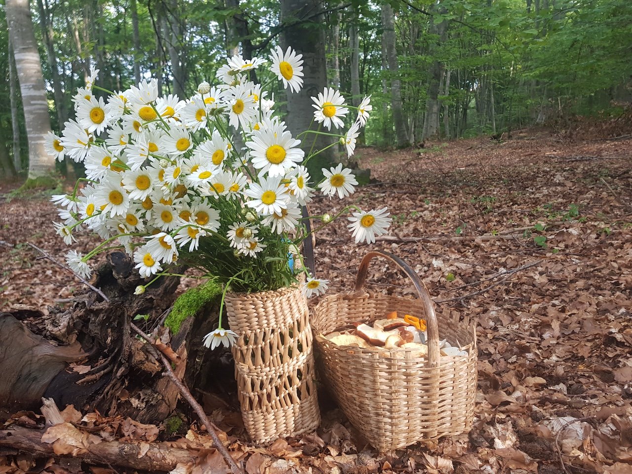 •  Fotó: Dakó Viola
