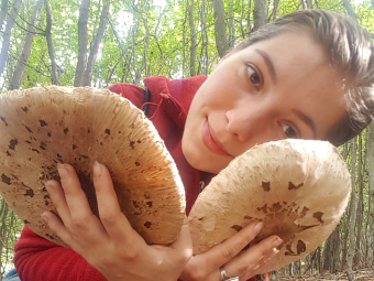 Ismerkedjünk meg az őzlábgombák ízletes, de sokszor rettegett világával