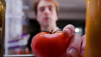 Mibe kerül 1 kg paradicsom? – gondoljunk az előállításához szükséges erőforrásokra is