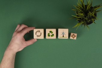 Zöldrefestés, avagy a greenwashing