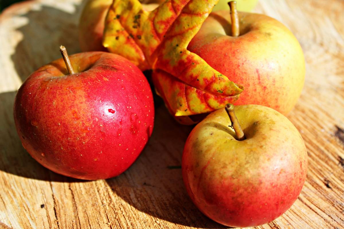 Alma, körte, szőlő járhat a tej-kifli mellé ősztől •  Fotó: Pixabay.com