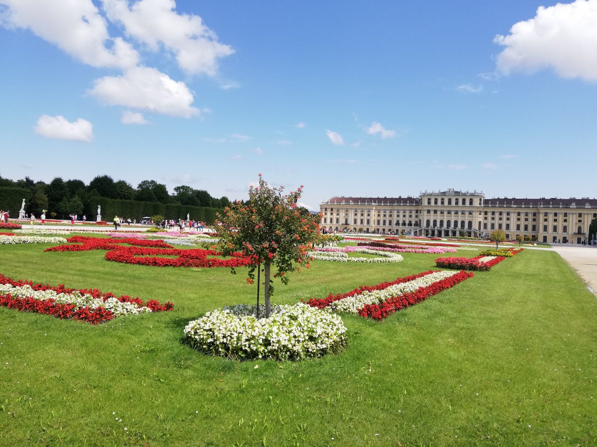 Schönbrunn, a császári palota •  Fotó: Antal Erika