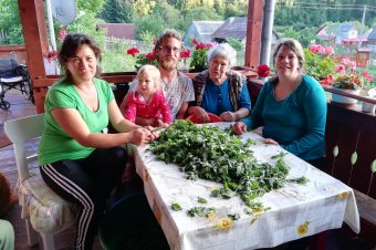 Orotvai varázslat: akiket megszólítottak a gyógynövények