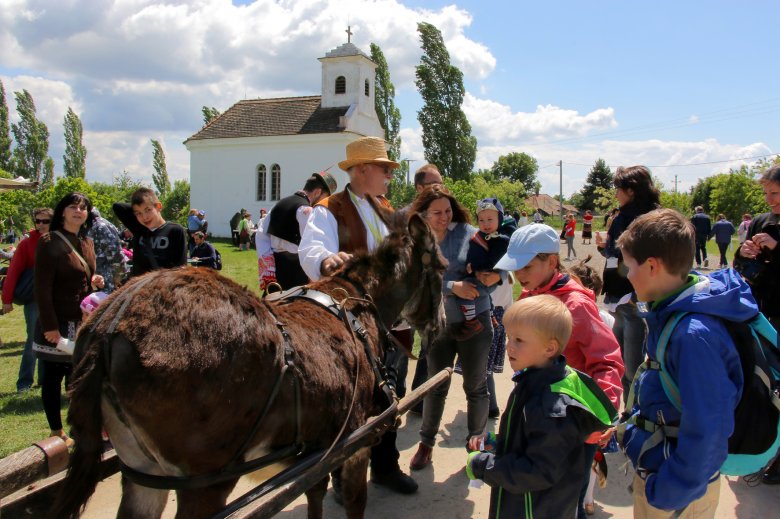Szamárfogat a kisalföldi tájegységben •  Fotó: Skanzen – Szabadtéri Néprajzi Múzeum