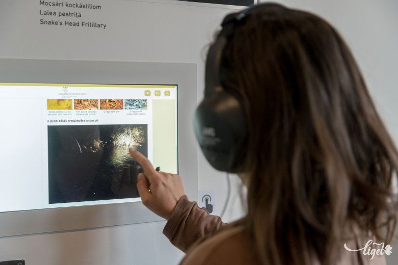 Az interaktív táblák számos információt rejtenek •  Fotó: Veres Nándor
