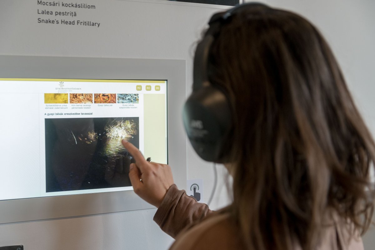 Az interaktív táblák számos információt rejtenek •  Fotó: Veres Nándor