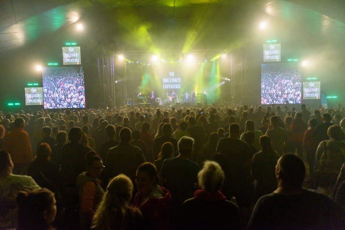 A Dire Straits Experience •  Fotó: DiMansions Hit Music Festival/Kiss Gábor