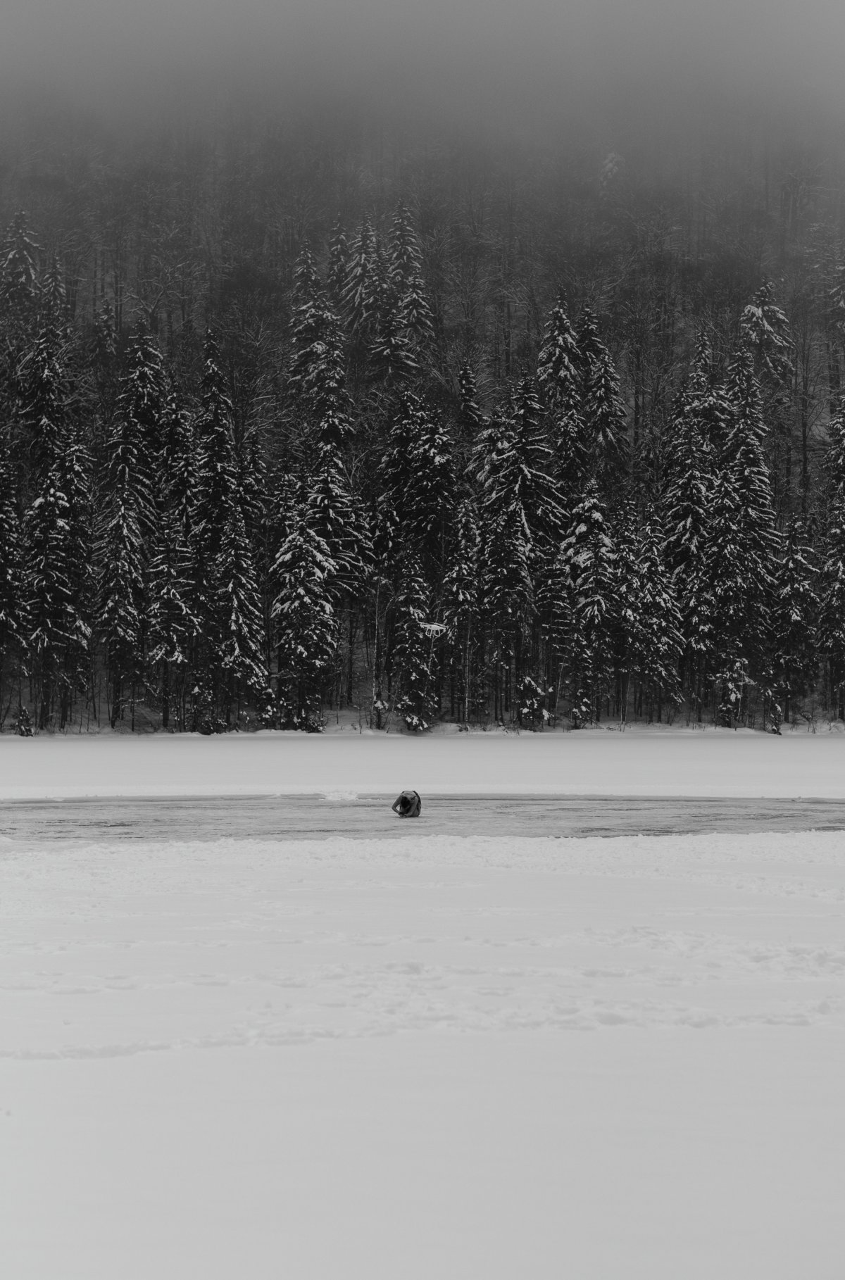 •  Fotó: Ilyés Zalán/Picture Lock