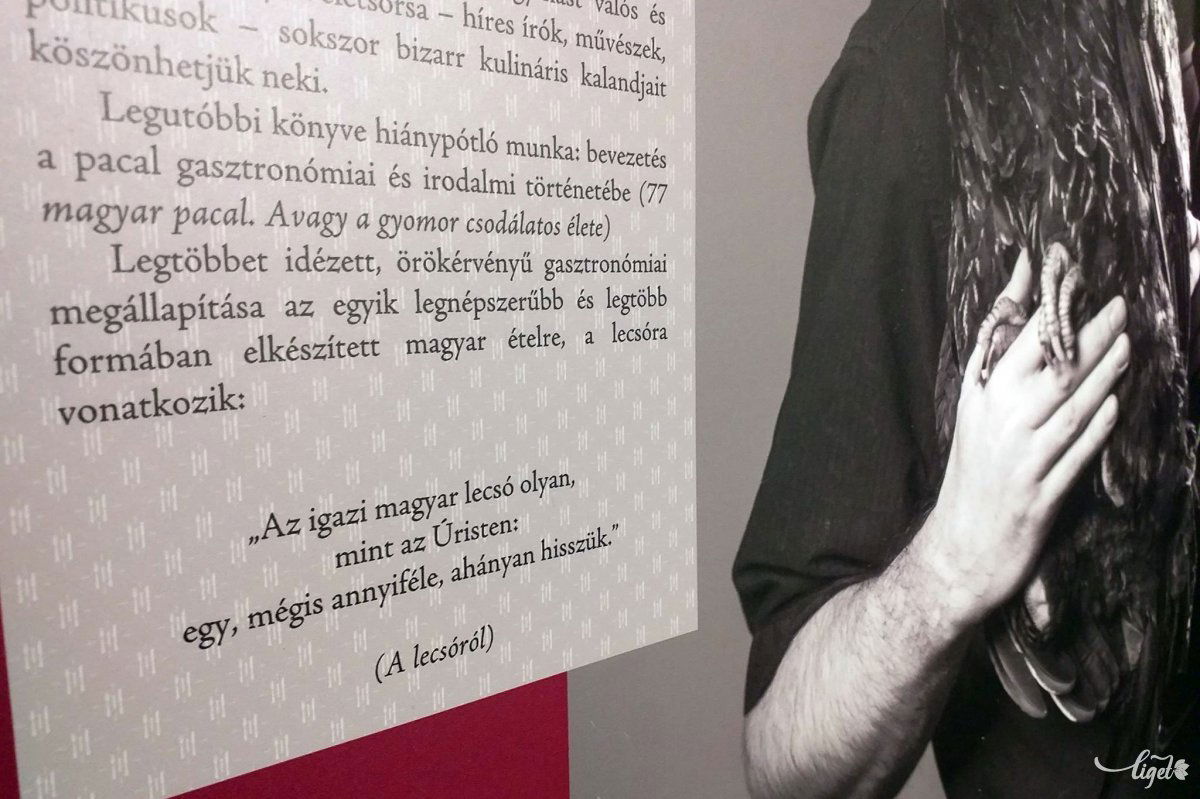 •  Fotó: Katona Zoltán