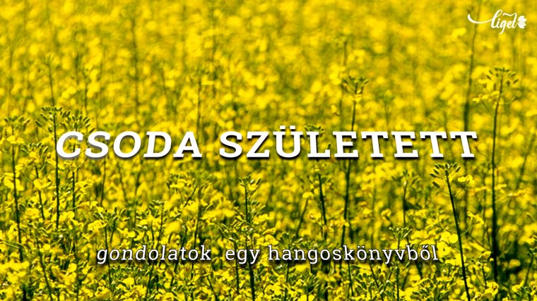 Gondolatok egy hangoskönyvből: Csoda született