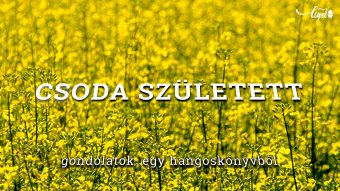 Gondolatok egy hangoskönyvből: Csoda született