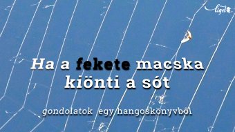 Gondolatok egy hangoskönyvből: Ha a fekete macska kiönti a sót