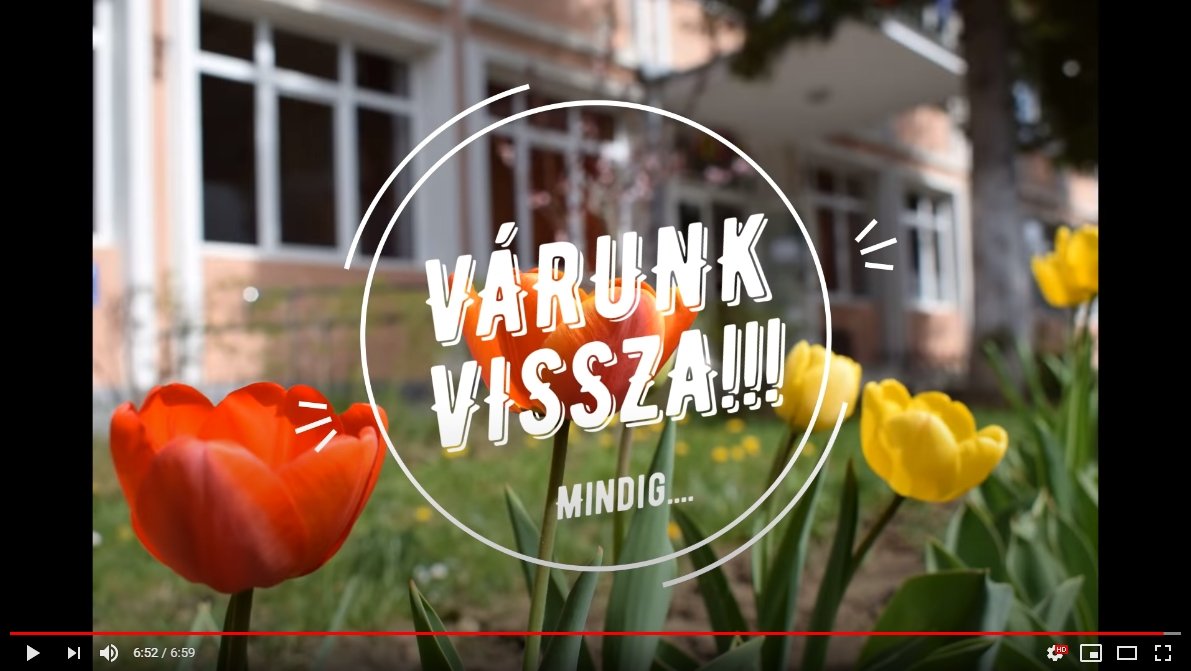 Ez az üzenet magáért beszél •  Fotó: Orbán Balázs Általános Iskola, Székelyudvarhely