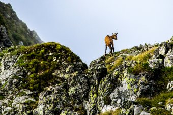 Drónnal a Kárpátokban: a hegyek, ahogy még nem láttad őket