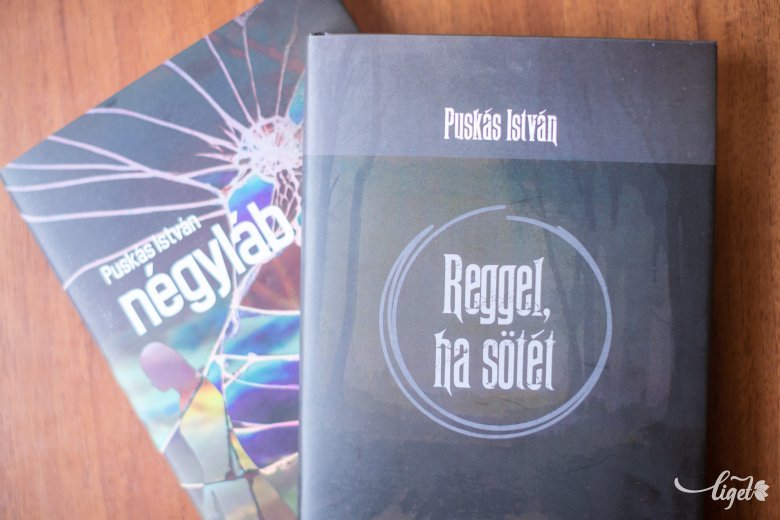 Egy-egy délután alatt elolvasható a két kisregény •  Fotó: Erdély Bálint Előd