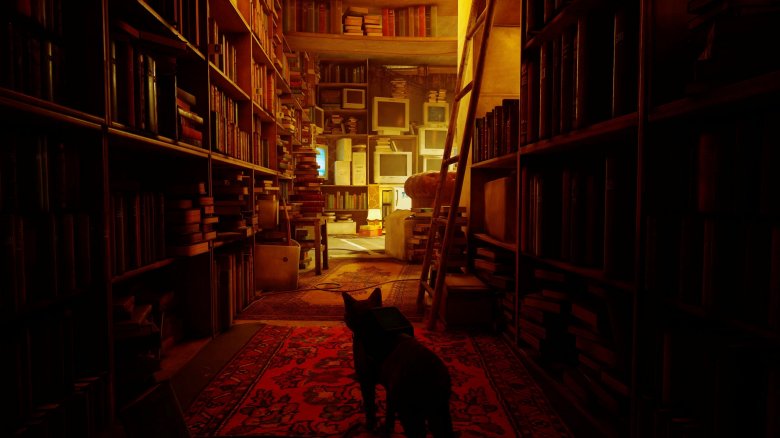 •  Fotó: Stray/Képernyőfotó