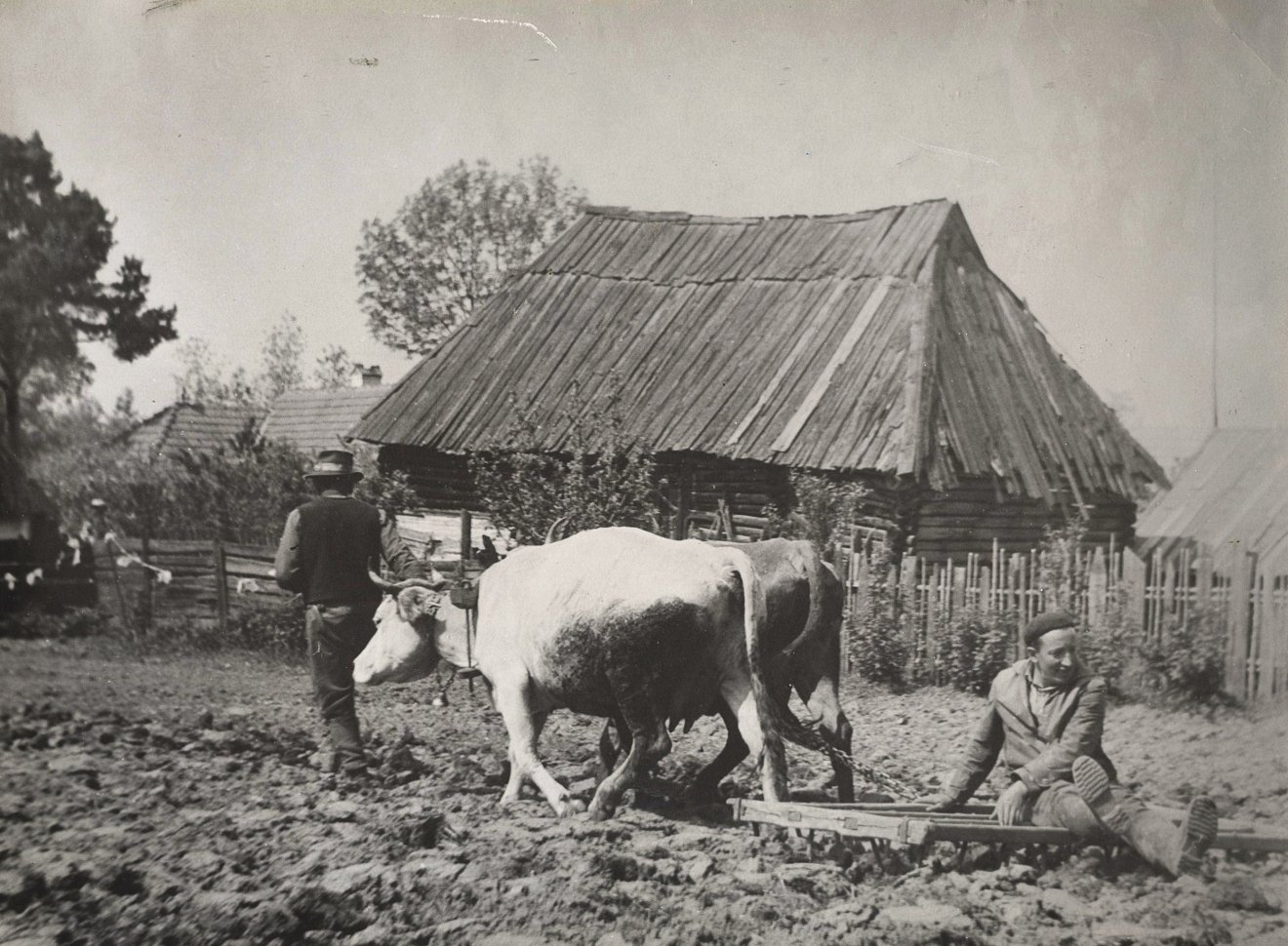 Boronálás, 1969 •  Fotó: Forrás: Imre Kálmán hagyatéka