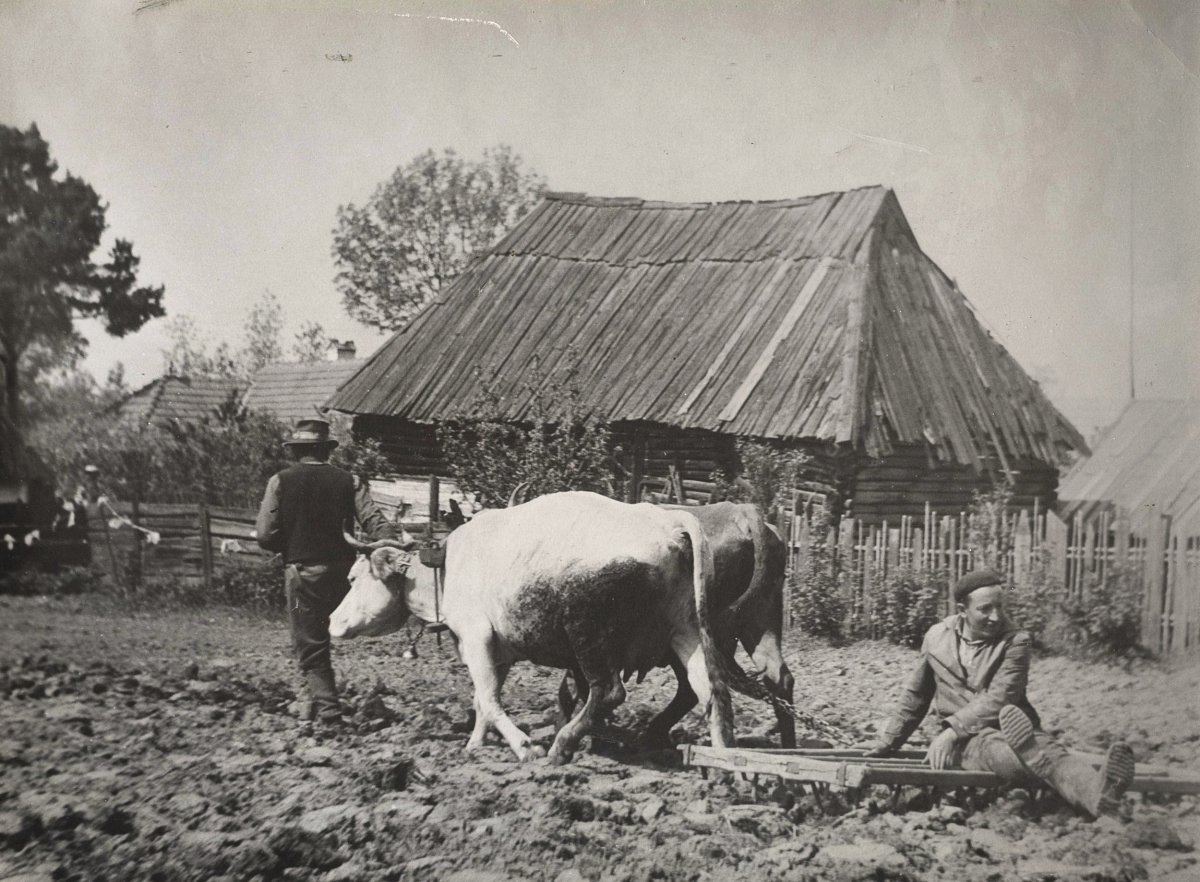 Boronálás, 1969 •  Fotó: Forrás: Imre Kálmán hagyatéka