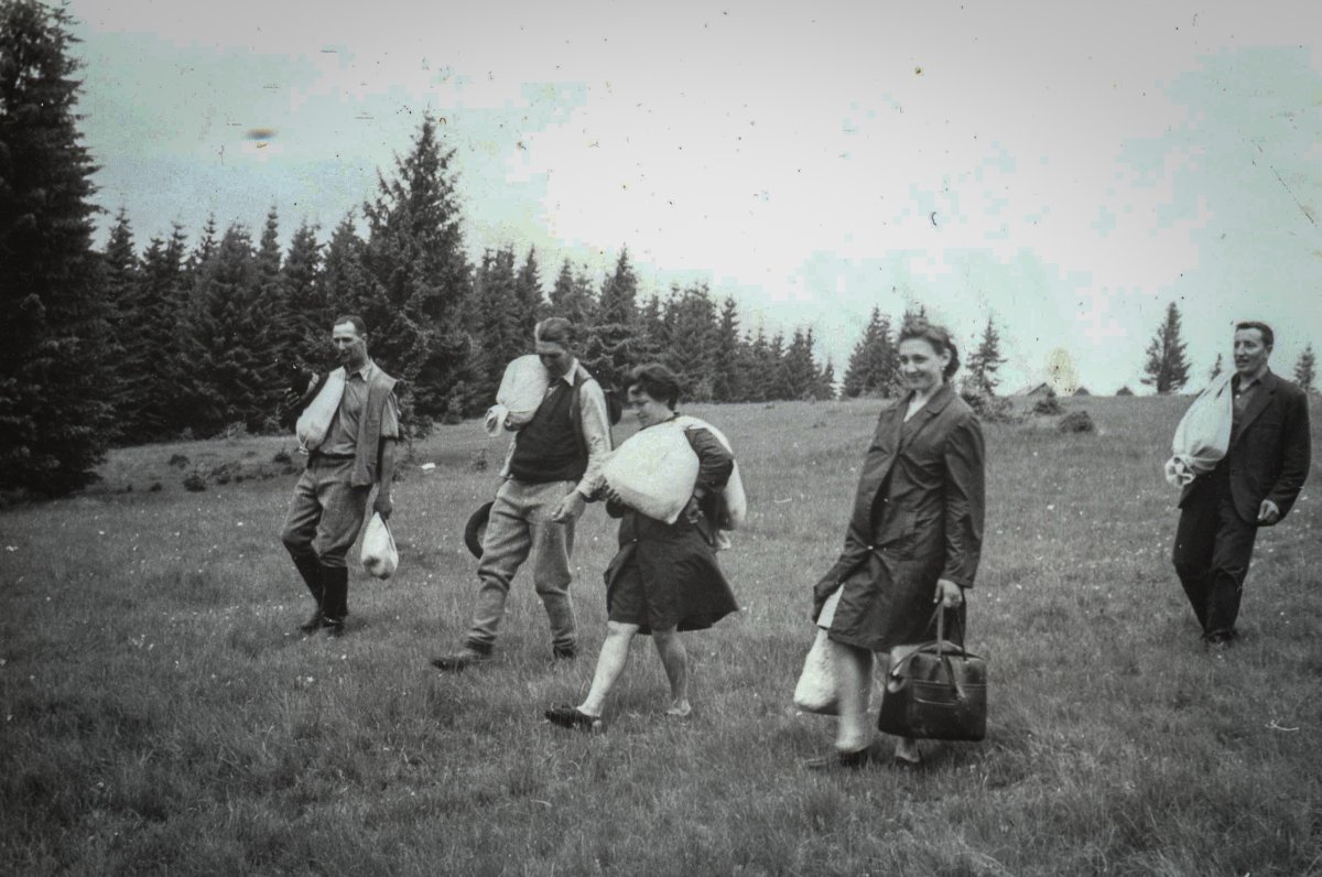 Sajtszállítás háton, 1973 •  Fotó: Forrás: Imre Kálmán hagyatéka