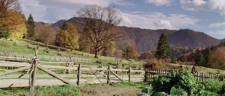 •  Fotó: Cold Mountain