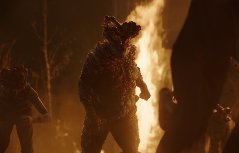 •  Fotó: The Last of Us/HBO