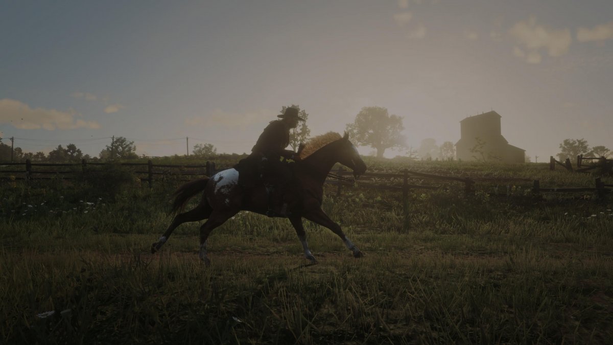 •  Fotó: Red Dead Redemption 2/Képernyőfotó