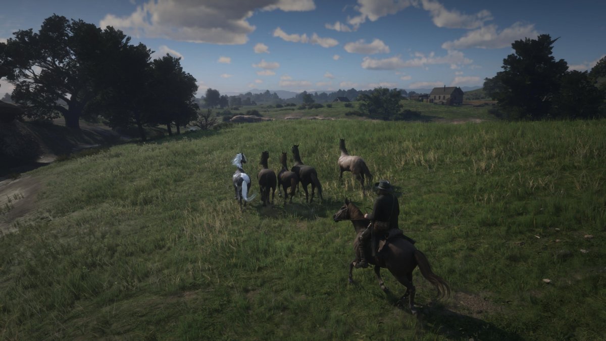 •  Fotó: Red Dead Redemption 2/Képernyőfotó