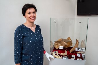 Múzeumi sztorik: a mamuttól a pontyig