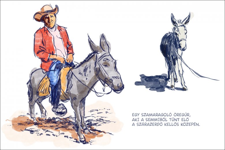 •  Fotó: Széles Ferenc grafikája