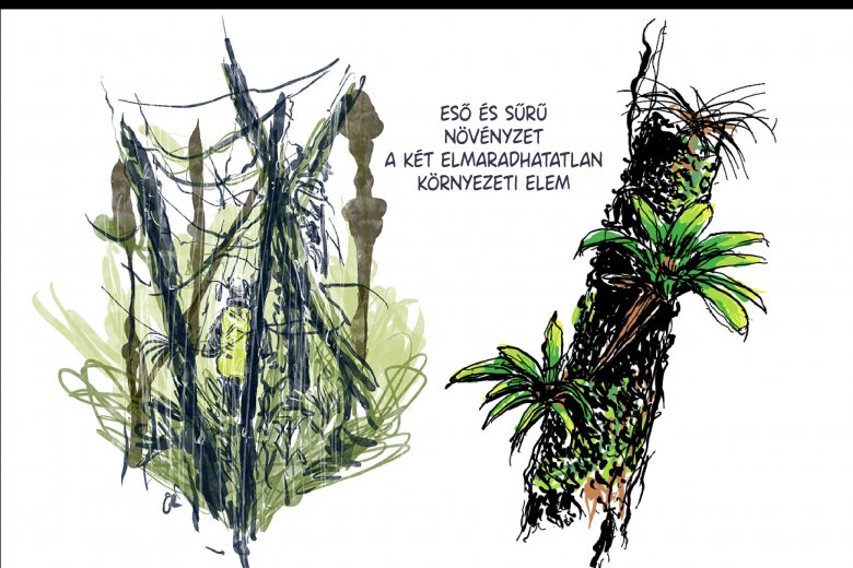•  Fotó: Széles Ferenc grafikája