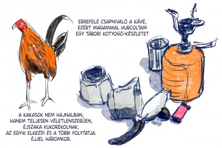 •  Fotó: Széles Ferenc grafikája