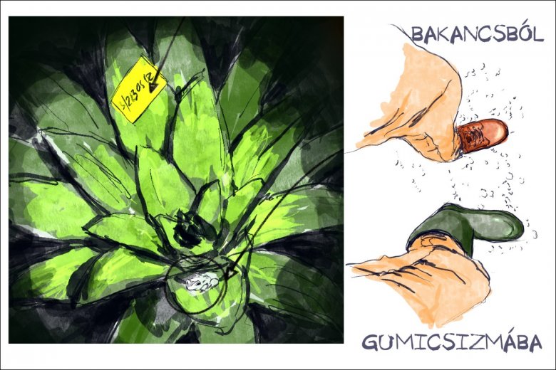 •  Fotó: Széles Ferenc grafikája