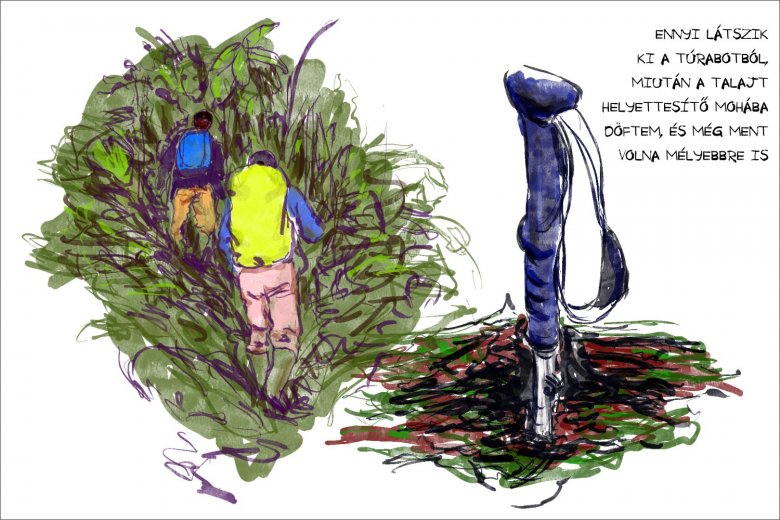 •  Fotó: Széles Ferenc grafikája