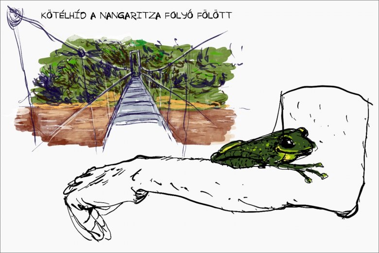 •  Fotó: Széles Ferenc grafikája