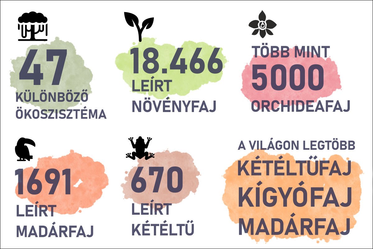 •  Fotó: Széles Ferenc grafikája