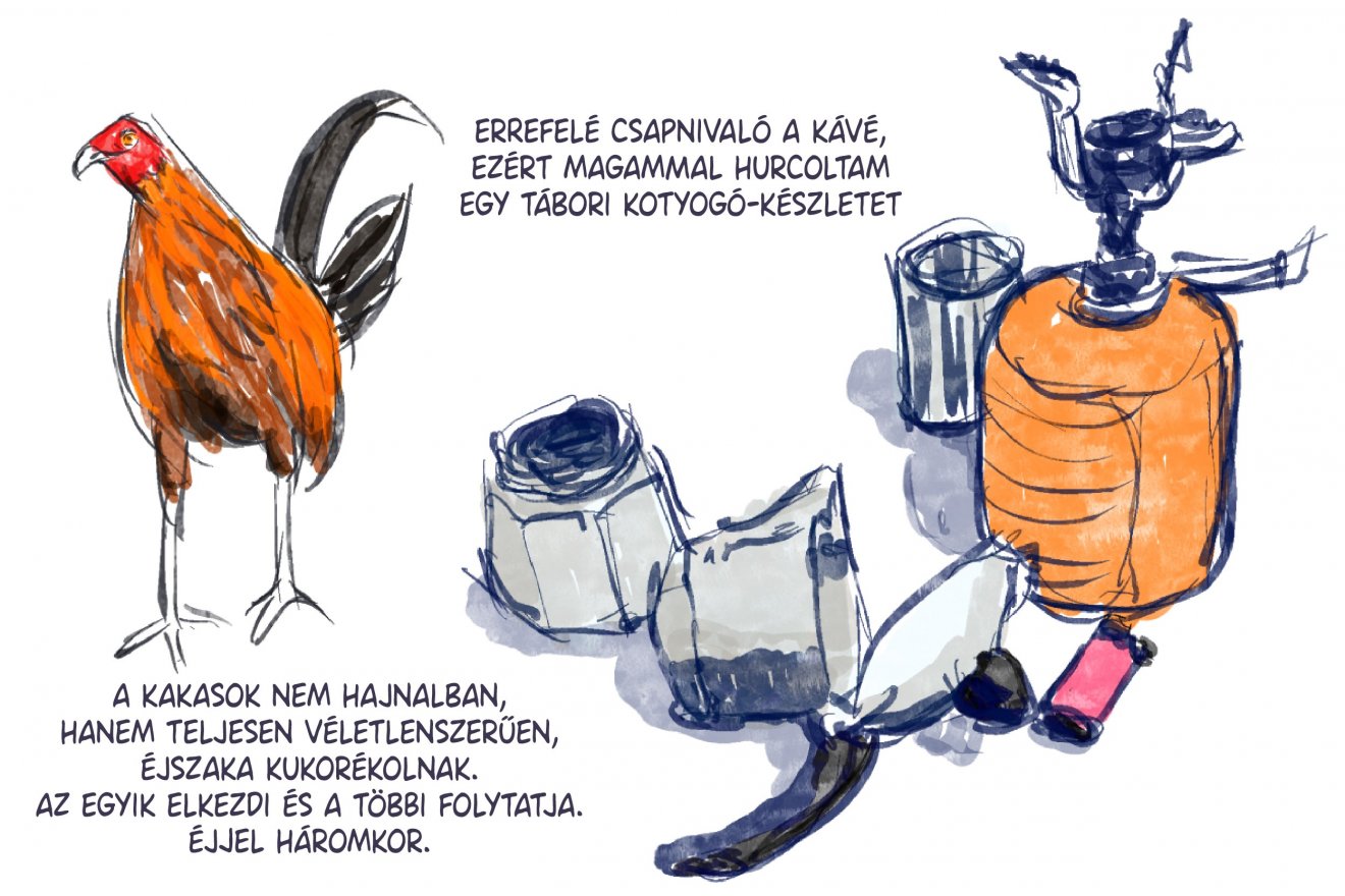 •  Fotó: Széles Ferenc grafikája